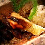 滋味 康月 - 【2016.12】秋鯖の燻製（ママンお気に入り）