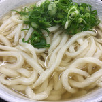 うどん 一福 - かけうどん（２玉）