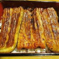 大江戸 南青山店 - 「うな重 むつき」です