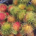 Rex Hotel - これはなんだ？