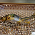 しのはら - 琵琶湖の鮎