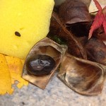 草喰 なかひがし - 2016年11月　黒豆