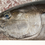 日本酒商店 YODARE - 