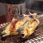 Hanayagi - 鮎の塩焼き。シュワシュワの微発泡の日本酒と共に。