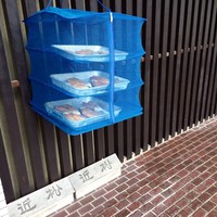 近松 - 外に唐墨を干してあります