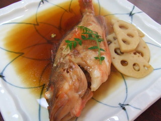 h Ichitoku - 明石で取れた前どれのがしらの煮付です。れんこんにも魚の旨みがそっくり移ります