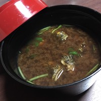 魚鉄 - カサゴの味噌汁