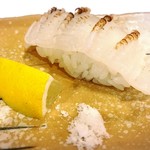 Sushikou - 炙りイカ   瀬戸のほん塩とレモンで