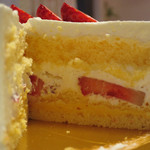 生デコ　5号（15cm）