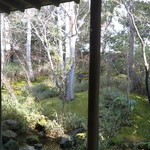 瑞雪楼 - ガラス輿しの風景～奥に塀があるため駐車場からは内部が全く分かりません。