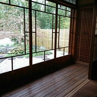 oasi - 
