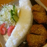 鹿ジビエと手作り定食カイザー - 2016年4月
            黒部ダムカレー』（税込み1,820円）