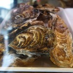 cozze - （2016/11月）ショーケースの牡蠣