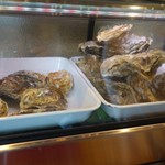 cozze - （2016/11月）