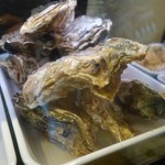 cozze - （2016/11月）