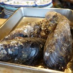 cozze - （2016/11月）ショーケースの牡蠣