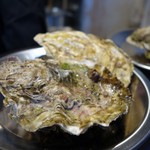 cozze - （2016/11月）牡蠣