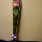 カセント - 祝花