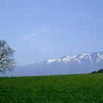 久保田 - 一本桜♪