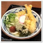 Marugame Seimen - 大海老うどん（並）