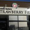 ストロベリー フィールズ