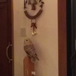 ケーヨシダ - オーナー手作りのフクロウ