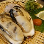 Kakidokoro Masumasa - 生牡蛎