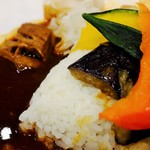 若草カレー本舗 -  スペシャルあいがけカレー