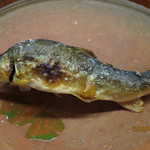 松川 - 滋賀県安曇川産