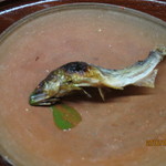 松川 - 京都美山産