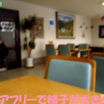 喜楽 - 字が間違いw「バリアフリー」