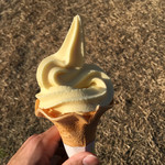 佐田岬はなはな - 料理写真: