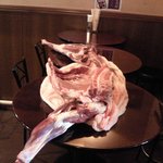 のむくらう Ｇａｚｚａｔ - 子鹿（バンビ）の半身