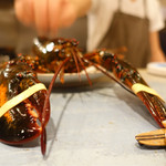 Ata - 2016/12_オマール海老