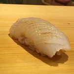 鮨 あらい - （2016年5月）壹岐のアオリ