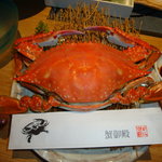 蟹御殿 - 2010-11-30　蟹・佐賀牛・サザエ・車海老を食す　プレミアム２ベッド絶景オーシャンビュー１１帖　２食付16900円