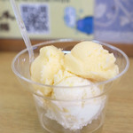 Hau tree gelato - 