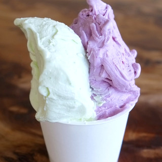 おいシーサー遇_0