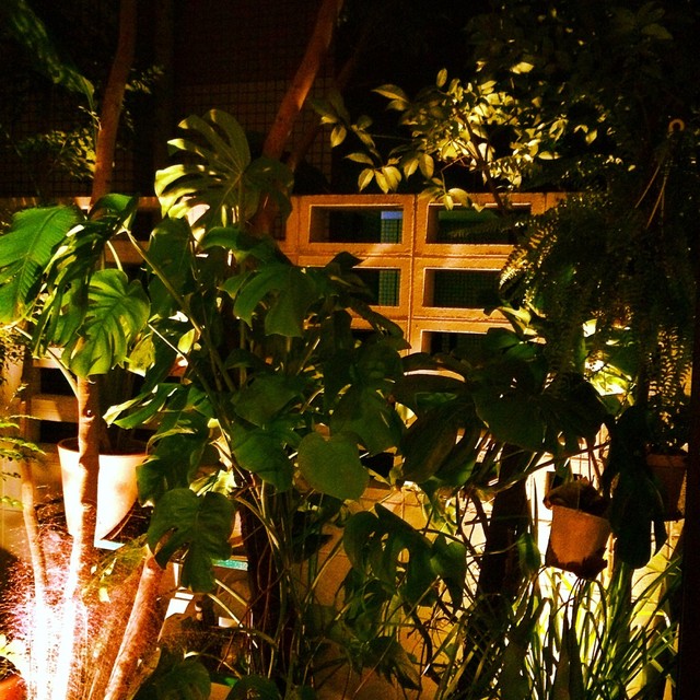 Budouya Mahari photo 5