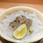 東麻布 天本 - しゃこのお造り