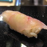 すし処 めくみ - カサゴ