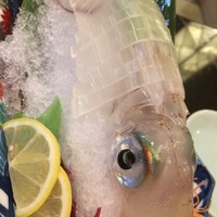 割烹 かじ 本店 - 