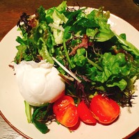 オービカ モッツァレラバー 梅田店 - 