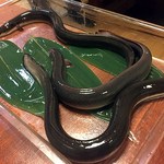 鰻はし本 - 