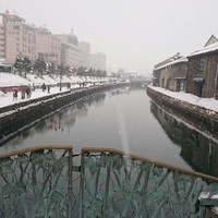 おたる政寿司 本店 - 2017/01/03 