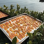 SAKURAGUMI - お店の外で干していました