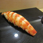 鮨辰巳 - 握り　車海老