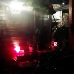 カフェザグローブ - 窓際席