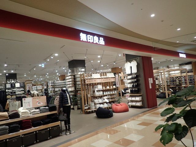 含める肉腫三番柏無印 Adrienlombardo Com