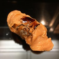 鮨 一條 - 煮蛤